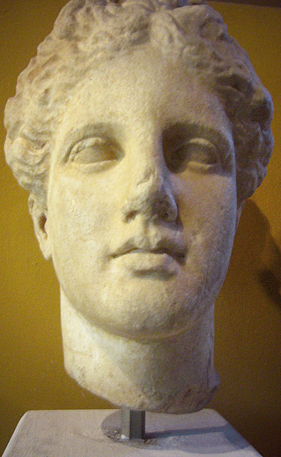 Marble head of Aphrodite.