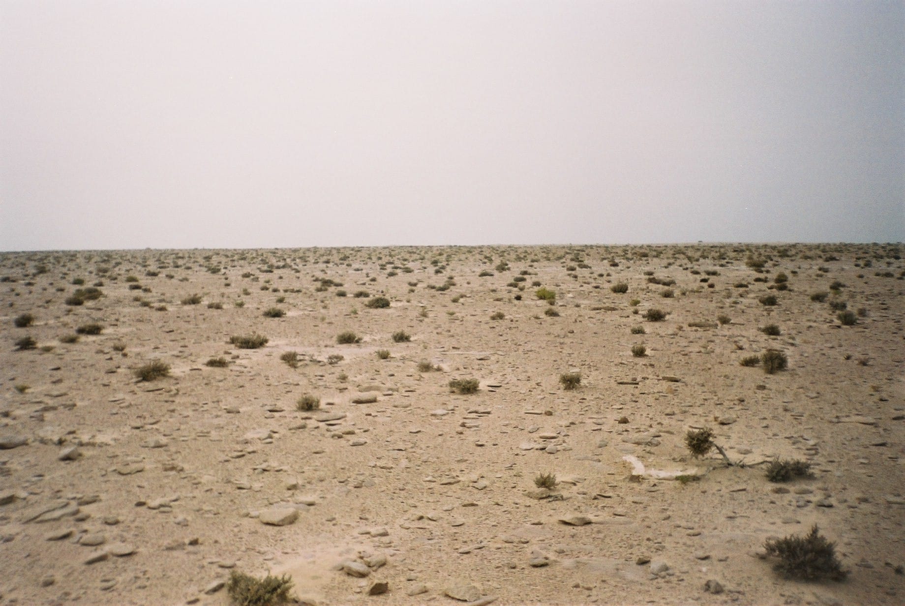 Desert landscape in Western Sahara.