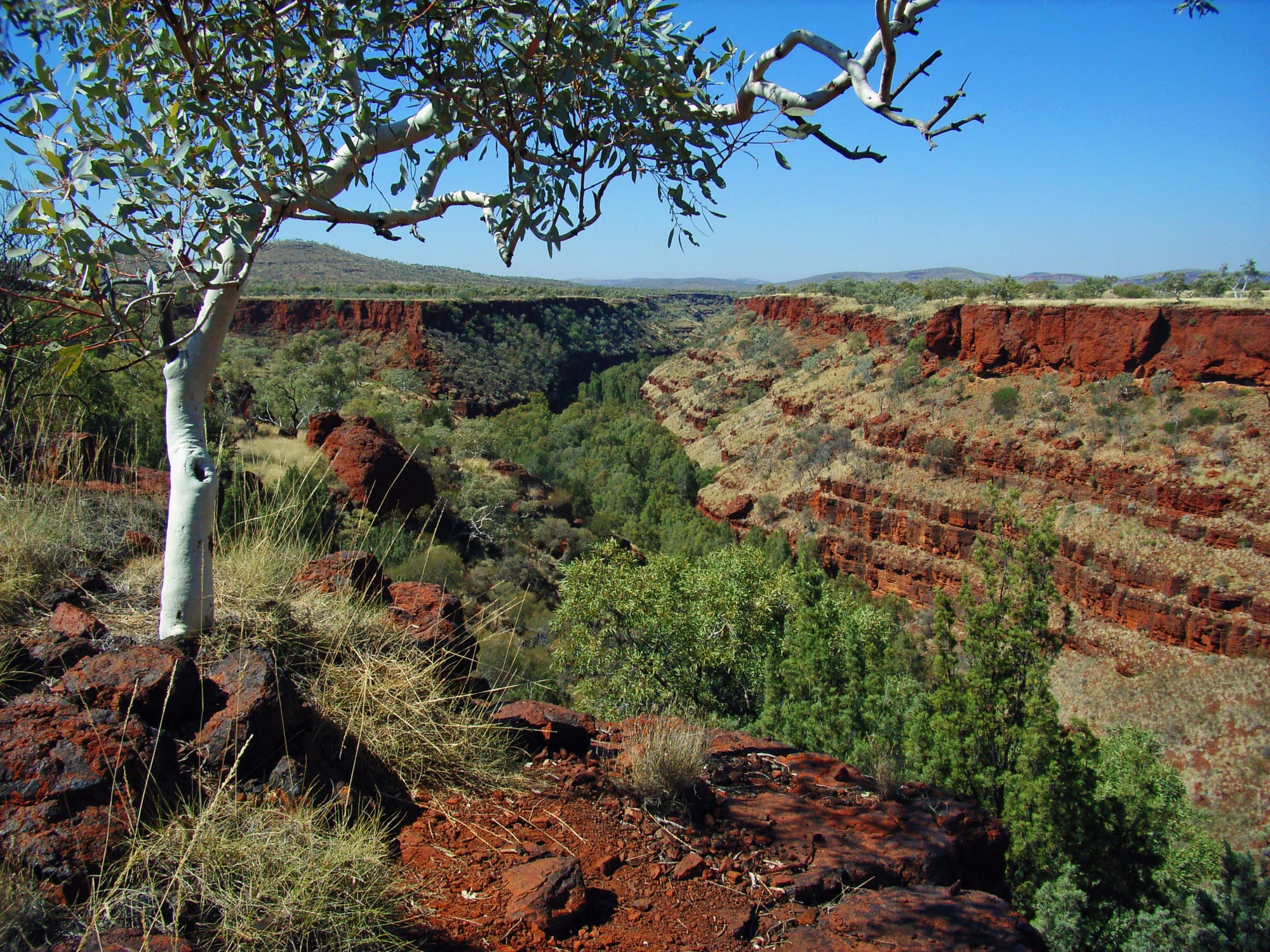Dales Gorge in Karijini National Park, elsewhere in the Pilbara region of Western Australia.