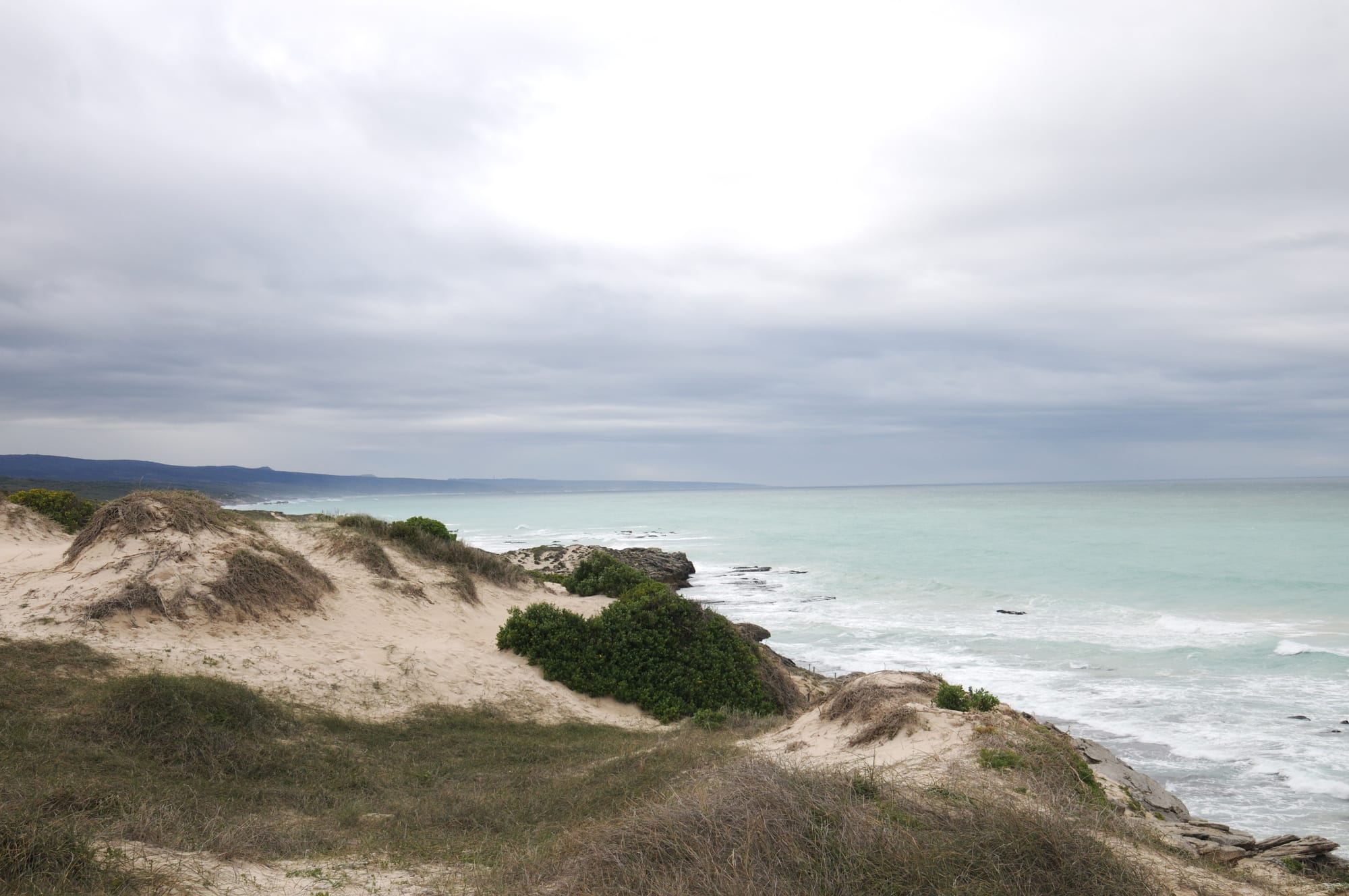 Coastal dune landscape with fynbos vegetation at Koppie Alleen in De Hoop Nature Reserve.