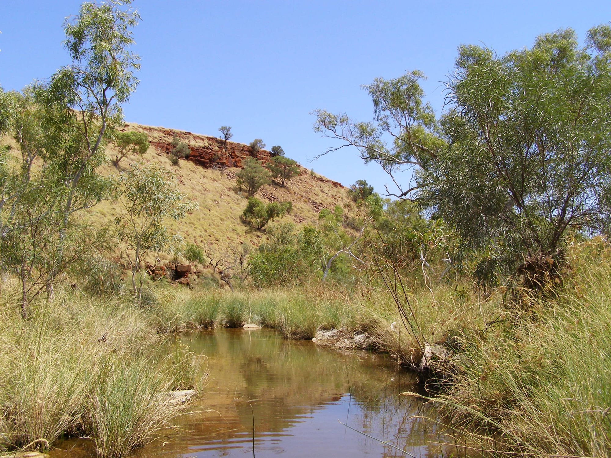the Hammersley Range landscape in the Pilbara, Western Australia