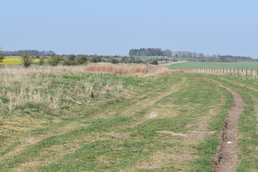 the Berkshire Ridgeway path running across open downland